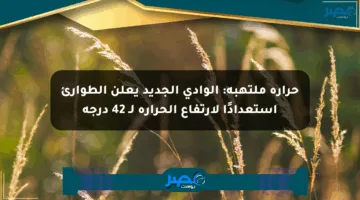 حرارة ملتهبة: الوادي الجديد يعلن الطوارئ استعدادًا لارتفاع الحرارة لـ 42 درجة